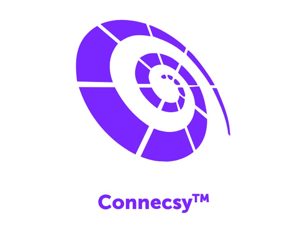 Afbeelding Connecsy - DEMO license per month